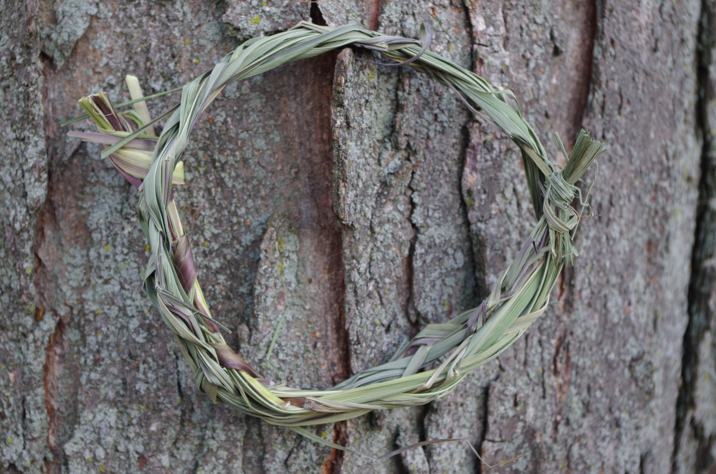 Lemongrass Braid for Smoke Cleansing