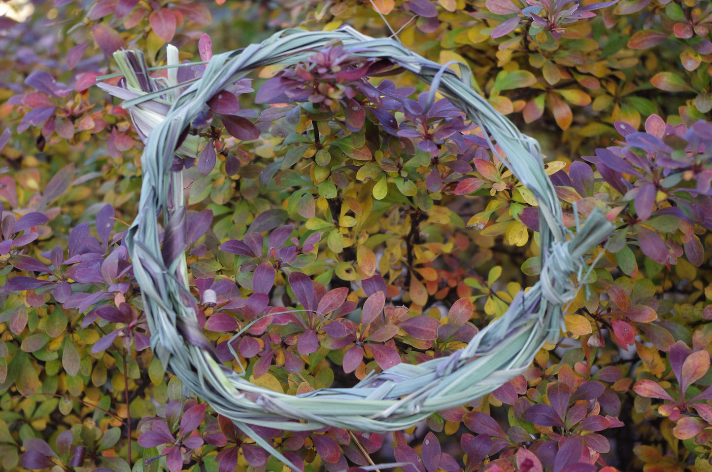 Lemongrass Braid for Smoke Cleansing