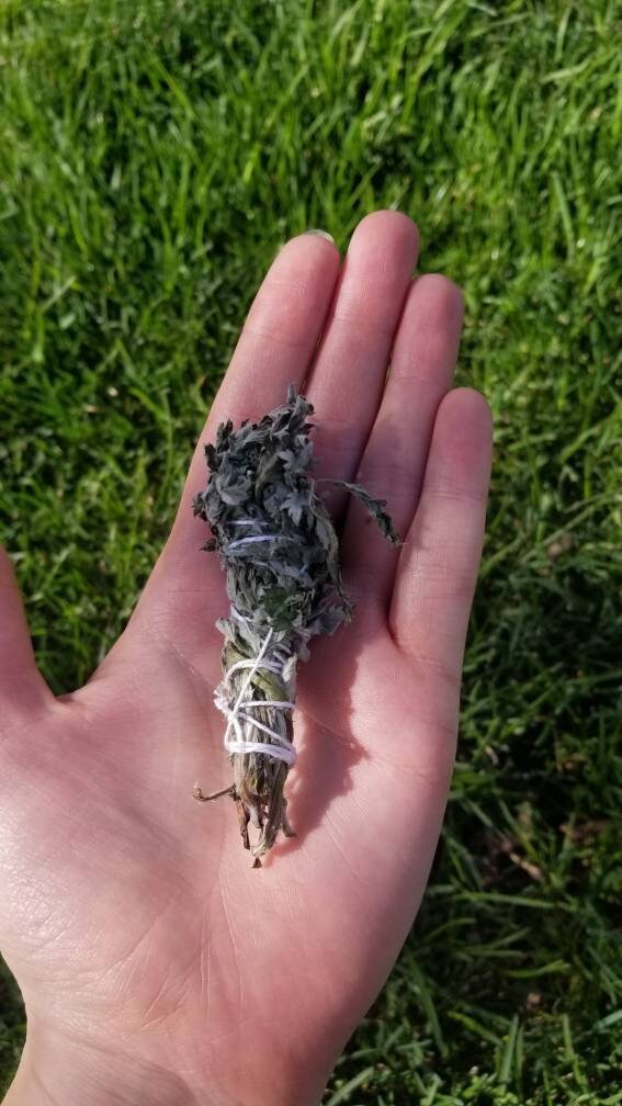 Mugwort Bundles