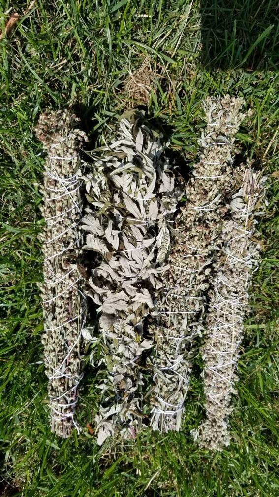 Mugwort Bundles