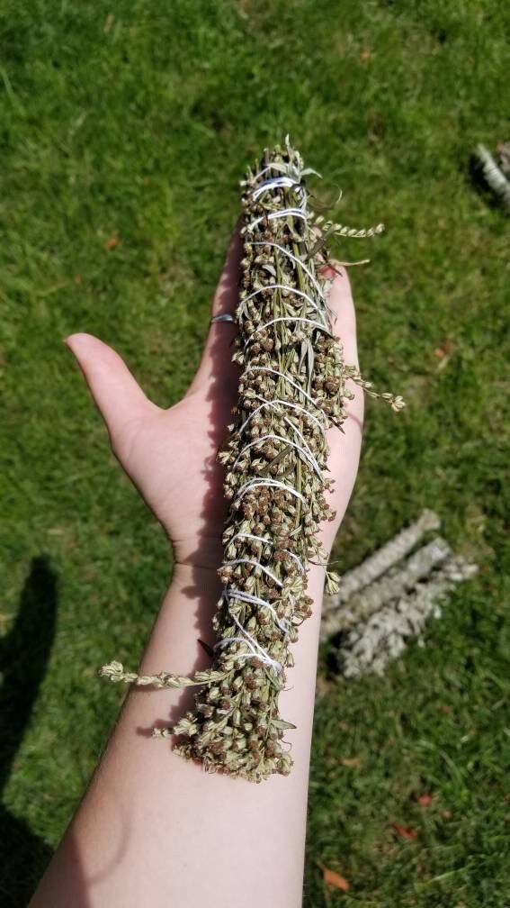 Mugwort Bundles