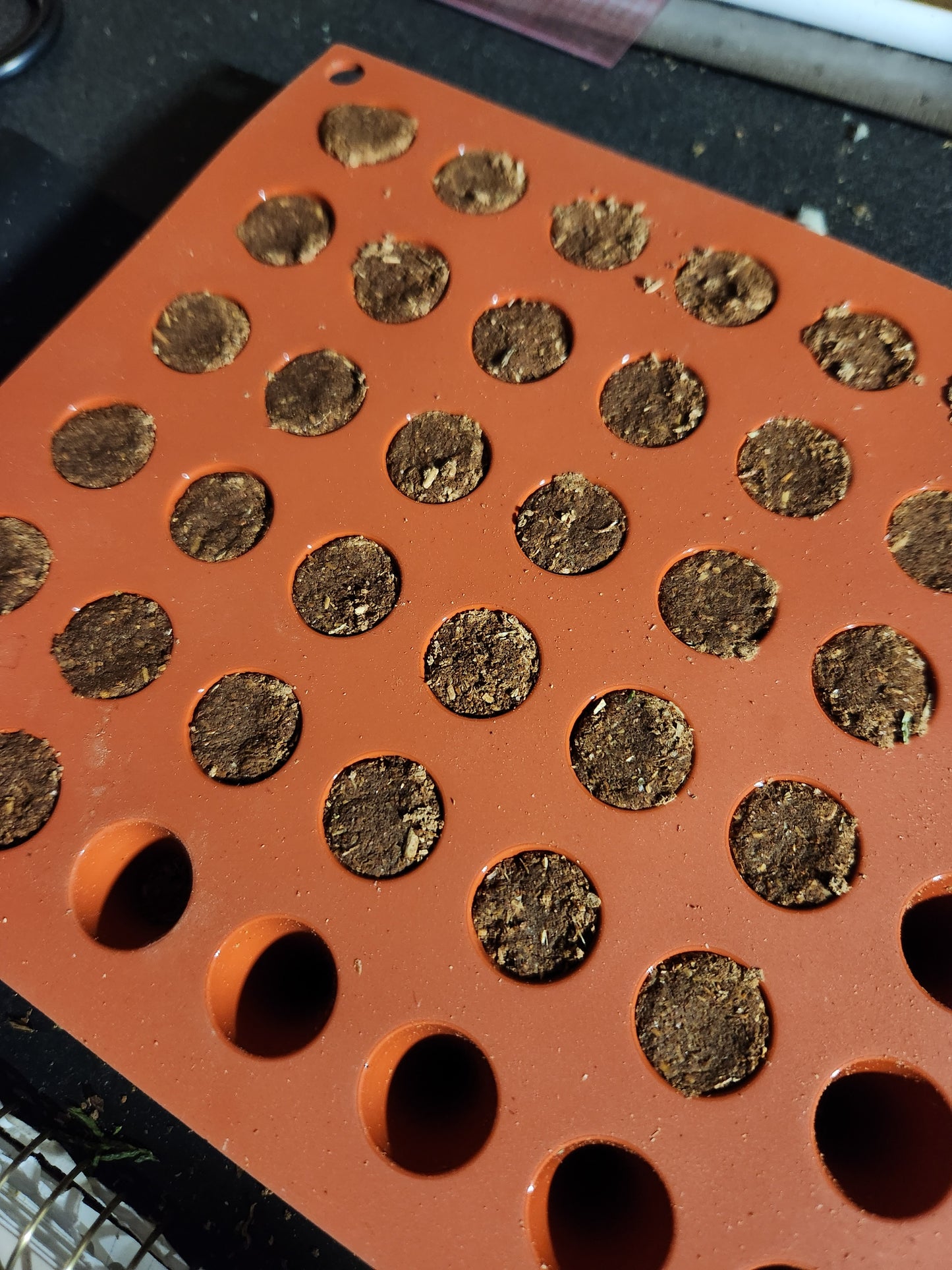 Handmade Balsam Fir Incense Cones pack of 20