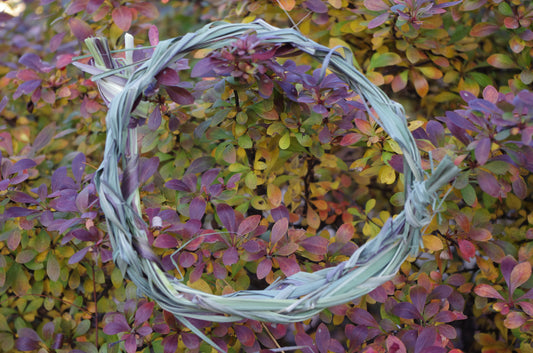 Lemongrass Braid for Smoke Cleansing