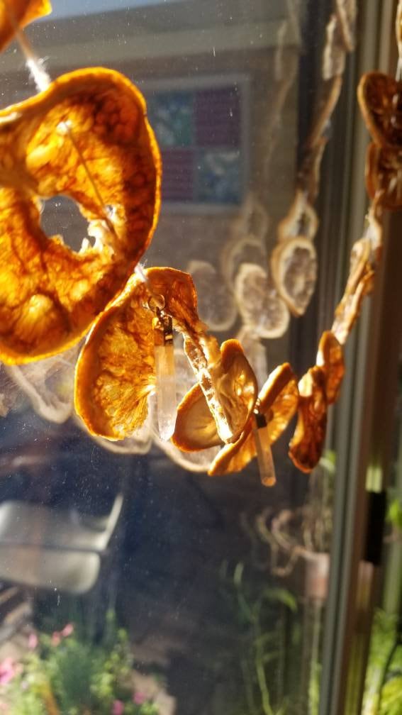 Dried Orange Slice Garland