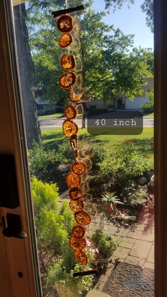 Dried Orange Slice Garland