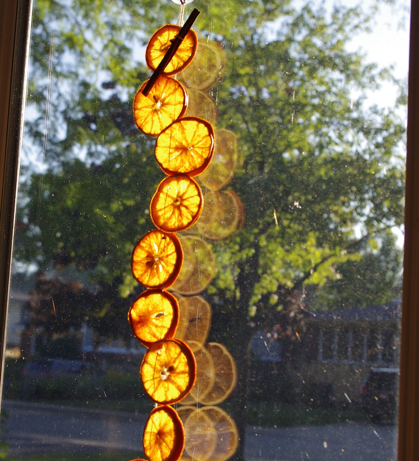 Dried Orange Slice Garland