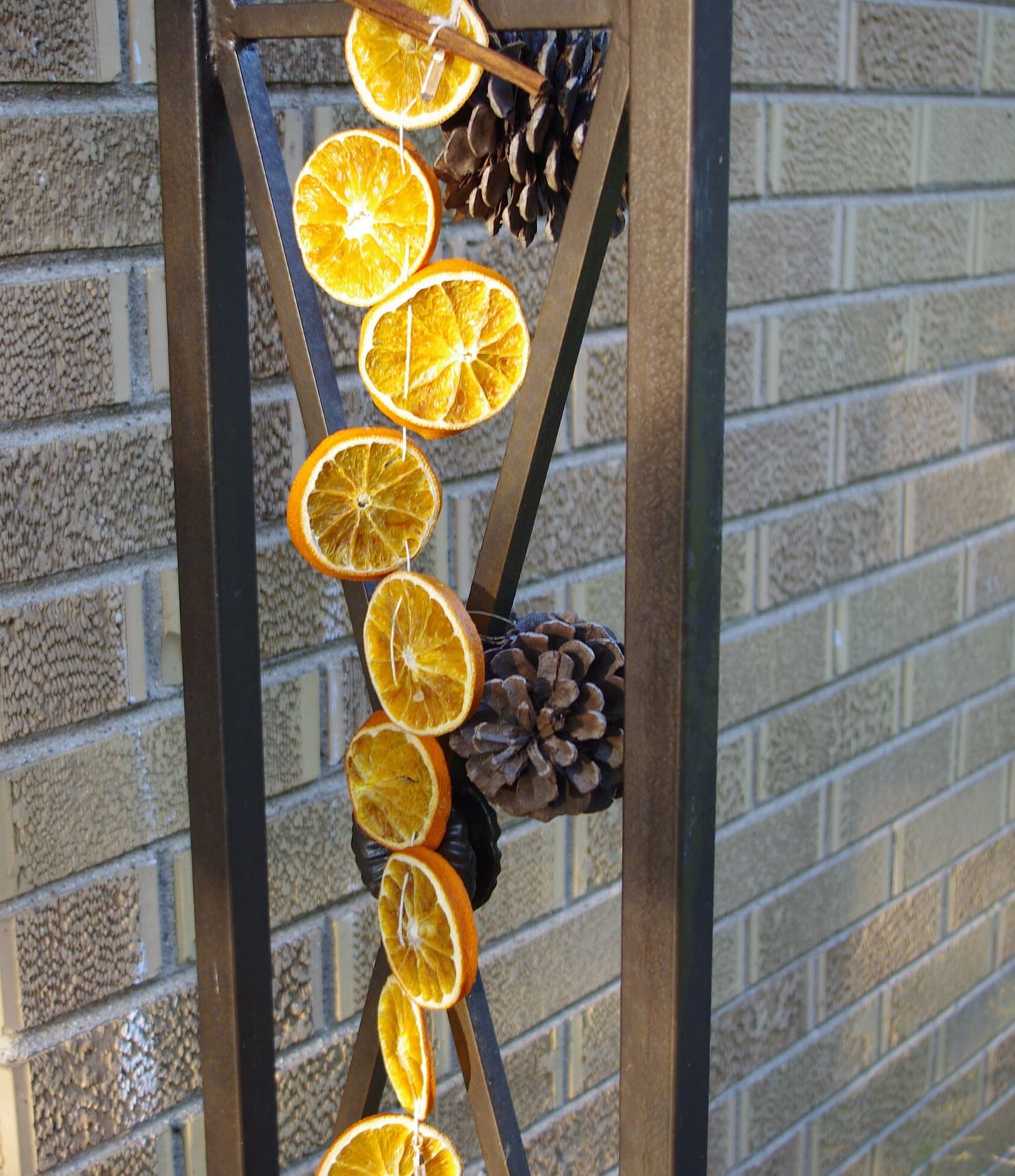 Dried Orange Slice Garland