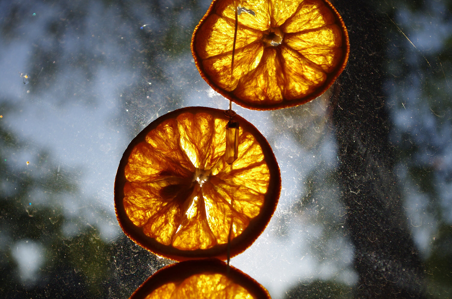 Dried Orange Slice Garland